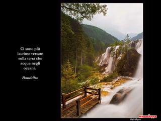 Ci sono più lacrime versate sulla terra che acqua negli oceani.  Bouddha  