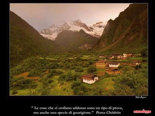 " Le cose che ci crollano addosso sono un tipo di prova,  ma anche una specie di guarigione."  Pema Chödrön  