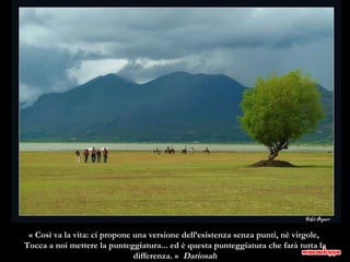 « Così va la vita: ci propone una versione dell’esistenza senza punti, né virgole,  Tocca a noi mettere la punteggiatura... ed è questa punteggiatura che farà tutta la differenza. »  Dariosah 