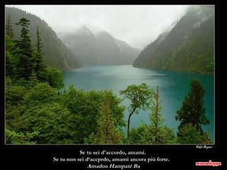 Se tu sei d'accordo, amami.  Se tu non sei d‘accprdo, amami ancora più forte.   Amadou Hampaté Ba 