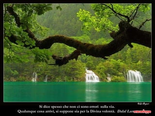 Si dice spesso che non ci sono errori  sulla via.  Qualunque cosa arrivi, si suppone sia per la Divina volontà.   Dalaï Lama  