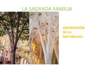 LA SAGRADA FAMILIA
OBSERVACIÓN
DE LA
NATURALEZA.
 