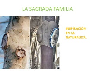 LA SAGRADA FAMILIA
INSPIRACIÓN
EN LA
NATURALEZA.
 