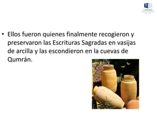 • Ellos fueron quienes finalmente recogieron y
preservaron las Escrituras Sagradas en vasijas
de arcilla y las escondieron en la cuevas de
Qumrán.
 
