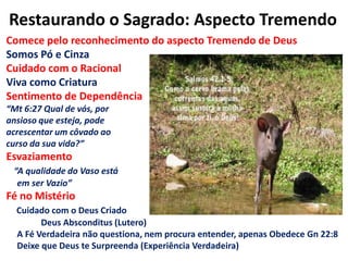 Restaurando o Sagrado: Aspecto TremendoComece pelo reconhecimento do aspecto Tremendo de DeusSomos Pó e CinzaCuidado com o RacionalViva como CriaturaSentimento de Dependência“Mt 6:27 Qual de vós, por ansioso que esteja, pode acrescentar um côvado ao curso da sua vida?”Esvaziamento“A qualidade do Vaso está      em ser Vazio”Fé no MistérioCuidado com o Deus Criado	Deus Absconditus (Lutero)     A Fé Verdadeira não questiona, nem procura entender, apenas Obedece Gn 22:8     Deixe que Deus te Surpreenda (Experiência Verdadeira)