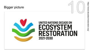 Bigger picture
https://www.decadeonrestoration.org/
 