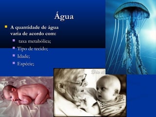 Água
   A quantidade de água
    varia de acordo com:
      taxa metabólica;

      Tipo de tecido;

      Idade;

      Espécie;
 