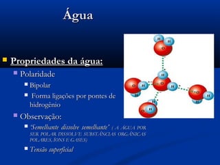 Água


   Propriedades da água:
       Polaridade
         Bipolar
          Forma ligações por pontes de
          hidrogênio
       Observação:
            ‘Semelhante dissolve semelhante’
                                         ( A ÁGUA POR
             SER POLAR DISSOLVE SUBSTÂNCIAS ORGÂNICAS
             POLARES, ÍONS E GASES)
            Tensão superficial
 