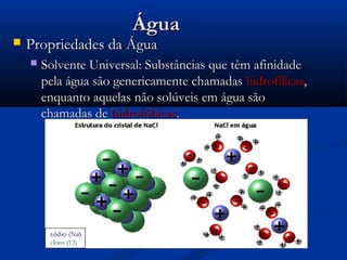 Água
   Propriedades da Água
       Solvente Universal: Substâncias que têm afinidade
        pela água são genericamente chamadas hidrofílicas,
        enquanto aquelas não solúveis em água são
        chamadas de hidrofóbicas.
 