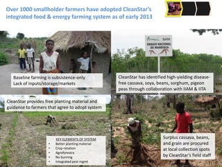 Over 1000 smallholder farmers have adopted CleanStar’s
integrated food & energy farming system as of early 2013
Baseline farming is subsistence-only
Lack of inputs/storage/markets
CleanStar has identified high-yielding disease-
free cassava, soya, beans, sorghum, pigeon
peas through collaboration with IIAM & IITA
CleanStar provides free planting material and
guidance to farmers that agree to adopt system
Surplus cassava, beans,
and grain are procured
at local collection spots
by CleanStar’s field staff
KEY ELEMENTS OF SYSTEM
• Better planting material
• Crop rotation
• Agroforestry
• No burning
• Integrated pest mgmt 11
 