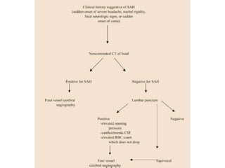 Sah Program Fact Sheets SAH for Neurology Residents | PPT