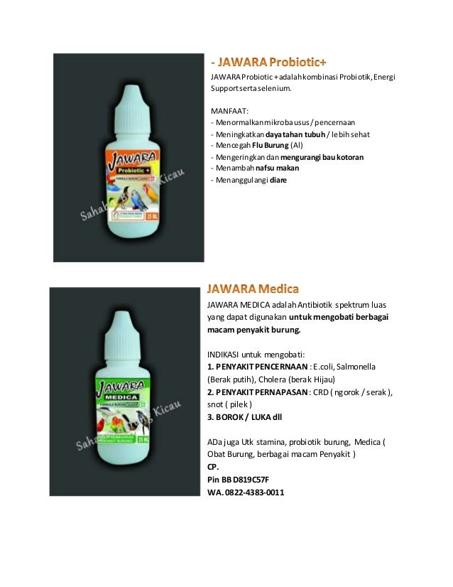 0822 4383 0011 Harga Vitamin Burung Nhb Harga Vitamin Burung Super N