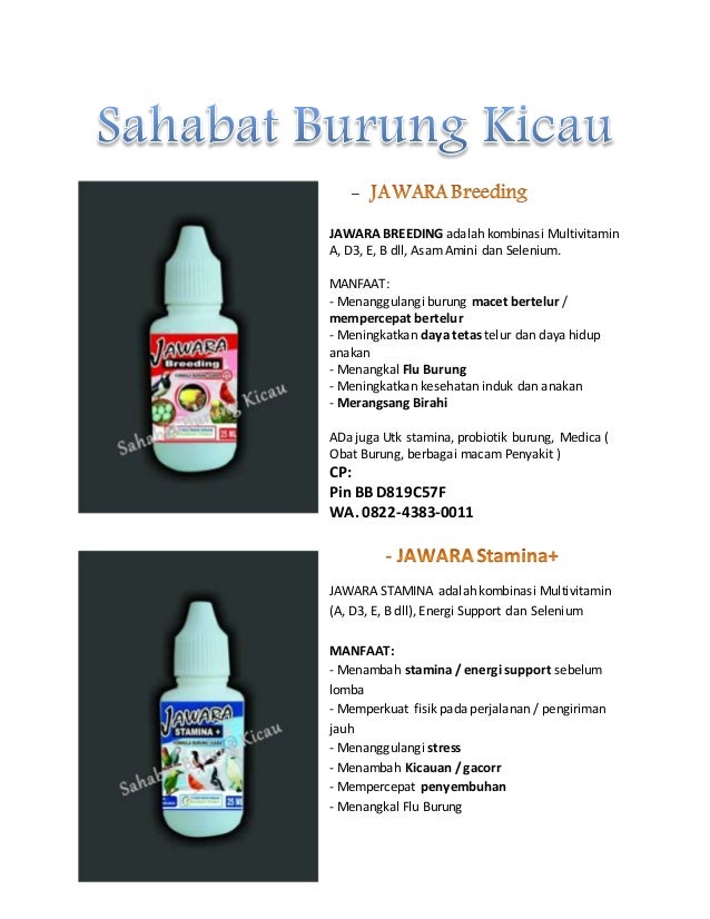 0822 4383 0011 Harga Vitamin Burung Super N Harga Vitamin Burung Ora