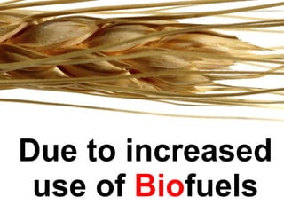 Due to increased use of  Bio fuels 
