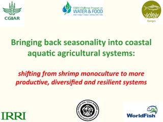 Bringing	
  back	
  seasonality	
  into	
  coastal	
  
aqua3c	
  agricultural	
  systems:	
  
	
  
shi$ing	
  from	
  shrimp	
  monoculture	
  to	
  more	
  
produc3ve,	
  diversiﬁed	
  and	
  resilient	
  systems	
  
 