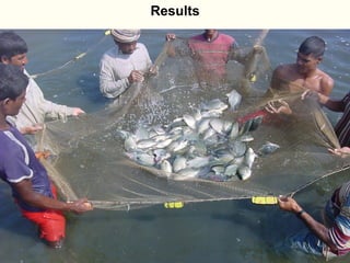 Bringing Back Seasonality into Coastal Aquatic Agricultural Systems