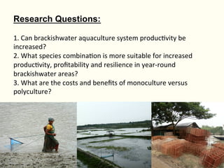 Bringing Back Seasonality into Coastal Aquatic Agricultural Systems