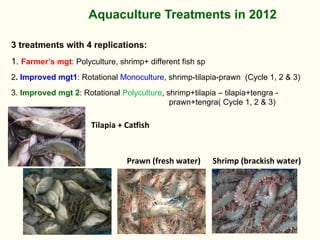 Bringing Back Seasonality into Coastal Aquatic Agricultural Systems