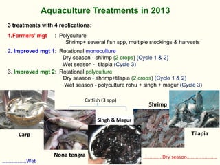 Bringing Back Seasonality into Coastal Aquatic Agricultural Systems