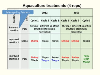 Bringing Back Seasonality into Coastal Aquatic Agricultural Systems