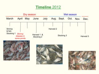 Bringing Back Seasonality into Coastal Aquatic Agricultural Systems