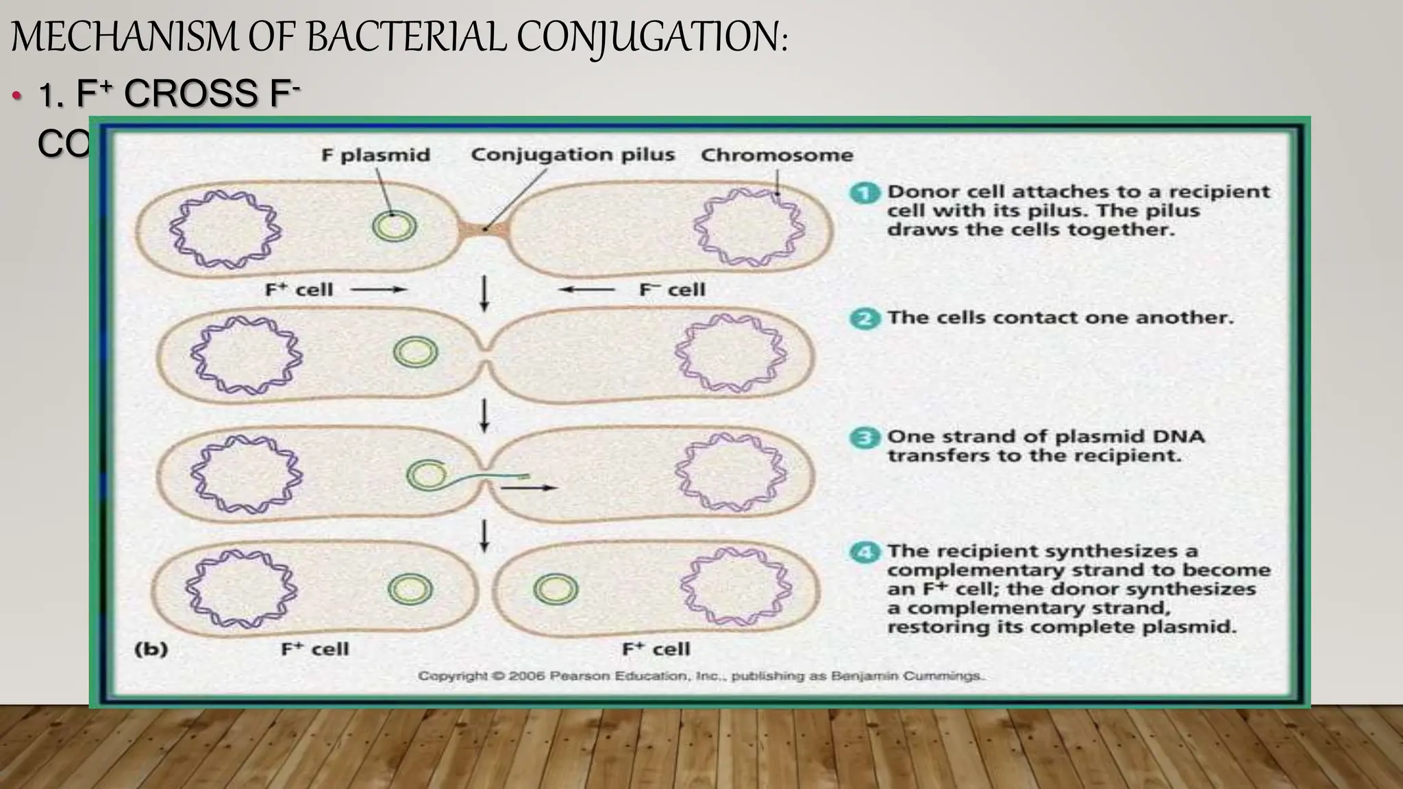 Recombination in prokaryotes, introduction, types | PPTX