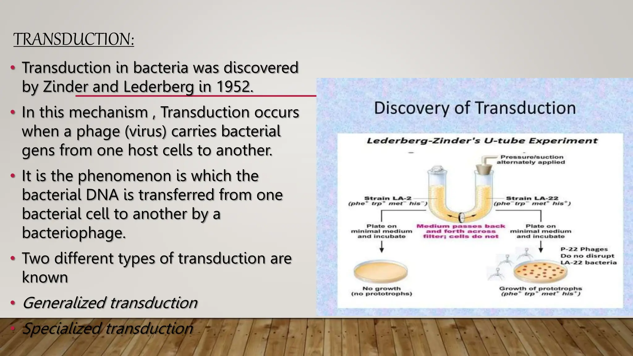 Recombination in prokaryotes, introduction, types | PPTX