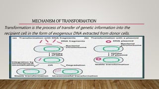 Recombination in prokaryotes, introduction, types | PPTX