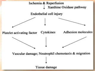 ARF- acute renal failure | PPTX