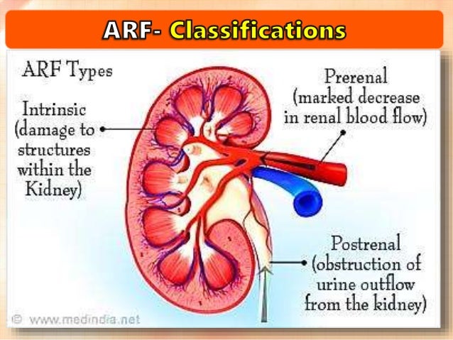 Кровь пои. Nephrology by. Kidney reabsorption Disorder.