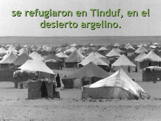 se refugiaron en Tinduf, en el desierto argelino. 
