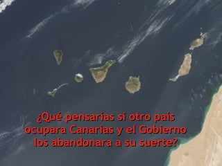 ¿Qué pensarías si otro país ocupara Canarias y el Gobierno los abandonara a su suerte? 