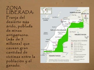ZONA
LIBERADA:
Franja del
desierto más
árido, poblada
de minas
antipersona.
(más de 5
millones) que
causan gran
cantidad de
víctimas entre la
población y el
ganado.
 