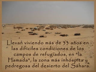 Llevan viviendo más de 33 años en
las difíciles condiciones de los
campos de refugiados, en “la
Hamada”, la zona más inhóspita y
pedregosa del desierto del Sáhara.
 