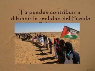 ¡Tú puedes contribuir a
difundir la realidad del Pueblo
Saharaui!
Lázaro
 