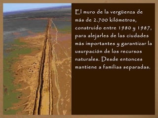 El muro de la vergüenza de
más de 2.700 kilómetros,
construido entre 1980 y 1987,
para alejarles de las ciudades
más importantes y garantizar la
usurpación de los recursos
naturales. Desde entonces
mantiene a familias separadas.
 