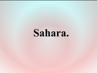 Sahara.
 