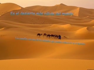 Es el desierto más cálido del mundo Los camellos son uno de los animales que pueden sobrevivir en el desierto 