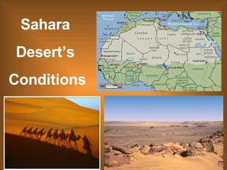 Sahara  Desert’s  Conditions 