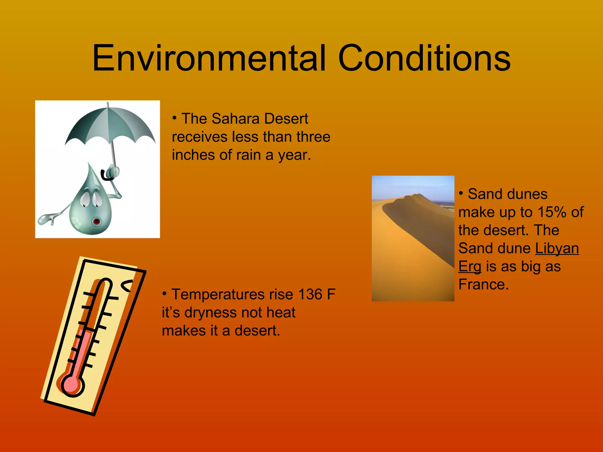 Environmental Conditions The Sahara Desert receives less than three inches of rain a year. Temperatures rise 136 F it’s dryness not heat makes it a desert. Sand dunes make up to 15% of the desert. The Sand dune Libyan Erg is as big as France.