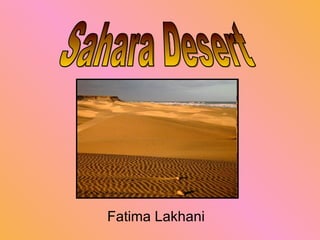 Fatima Lakhani Sahara Desert 
