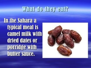 What do they eat?What do they eat?
In the Sahara aIn the Sahara a
typical meal istypical meal is
camel milk withcamel milk with
dried dates ordried dates or
porridge withporridge with
butter sauce.butter sauce.
 