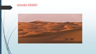 SAHARA DESERT
 