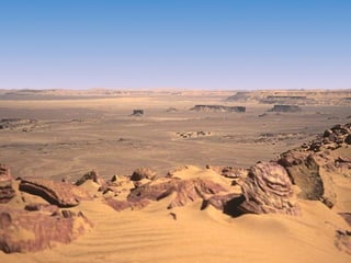 The Sahara Desert Tyler Pyle 