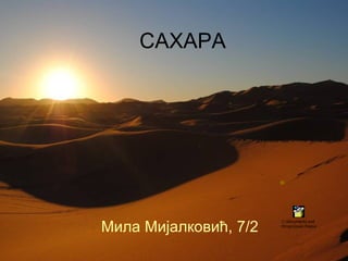 Sahara prezentacija