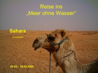 Reise ins
             „Meer ohne Wasser“


Sahara
 Tunesien




20.03. - 28.03.2005
 