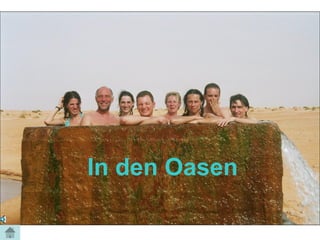In den Oasen
 