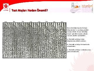 Test Atışları Neden Önemli?Test Atışları Neden Önemli?
Kuyu derinliği kayıtın frekans
bileşenlerini ve yayılmış gürültü
oranını etkiler. Kuyu derinliği;
sinyal / gürültü oranını yüksek
verecek şekilde seçilmelidir.
a) Derinlik arttıkça yüzey
dalgalarının şiddeti azalıyor.
b) Derinlik arttıkça frekanslarda
artmaktadır.
c) Derinlik arttıkça verideki ayrım
gücü artmaktadır.
45m 35m 30m40m 20m 15m25m 10m
 