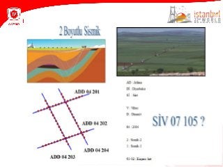 TPAO ARAMA – JEOFİZİK OPERASYONLAR MÜDÜRLÜĞÜ 2013
 