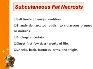 Self limited, benign condition.
Sharply demarcated reddish to violaceous plaques
or nodules.
Etiology uncertain.
Onset first few days- weeks of life.
Cheeks, back, buttocks, arms, and thighs.
Subcutaneous Fat Necrosis
 